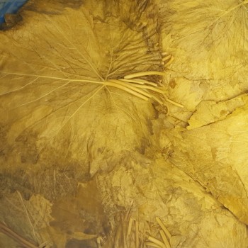 Erbaa Salamura Asma Yaprağı Varil İçerisinde Net 100kg